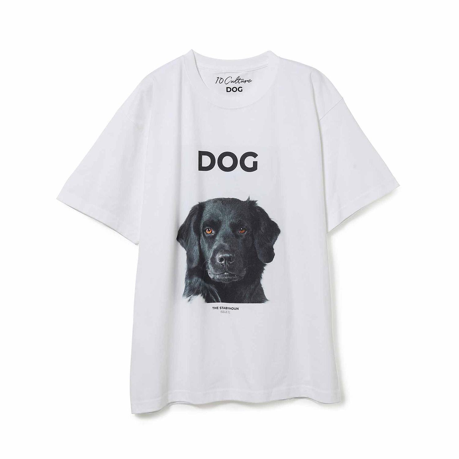 ドリス・ヴァン・ノッテンの愛犬も登場。ロンドンの『DOG MAGAZINE』と