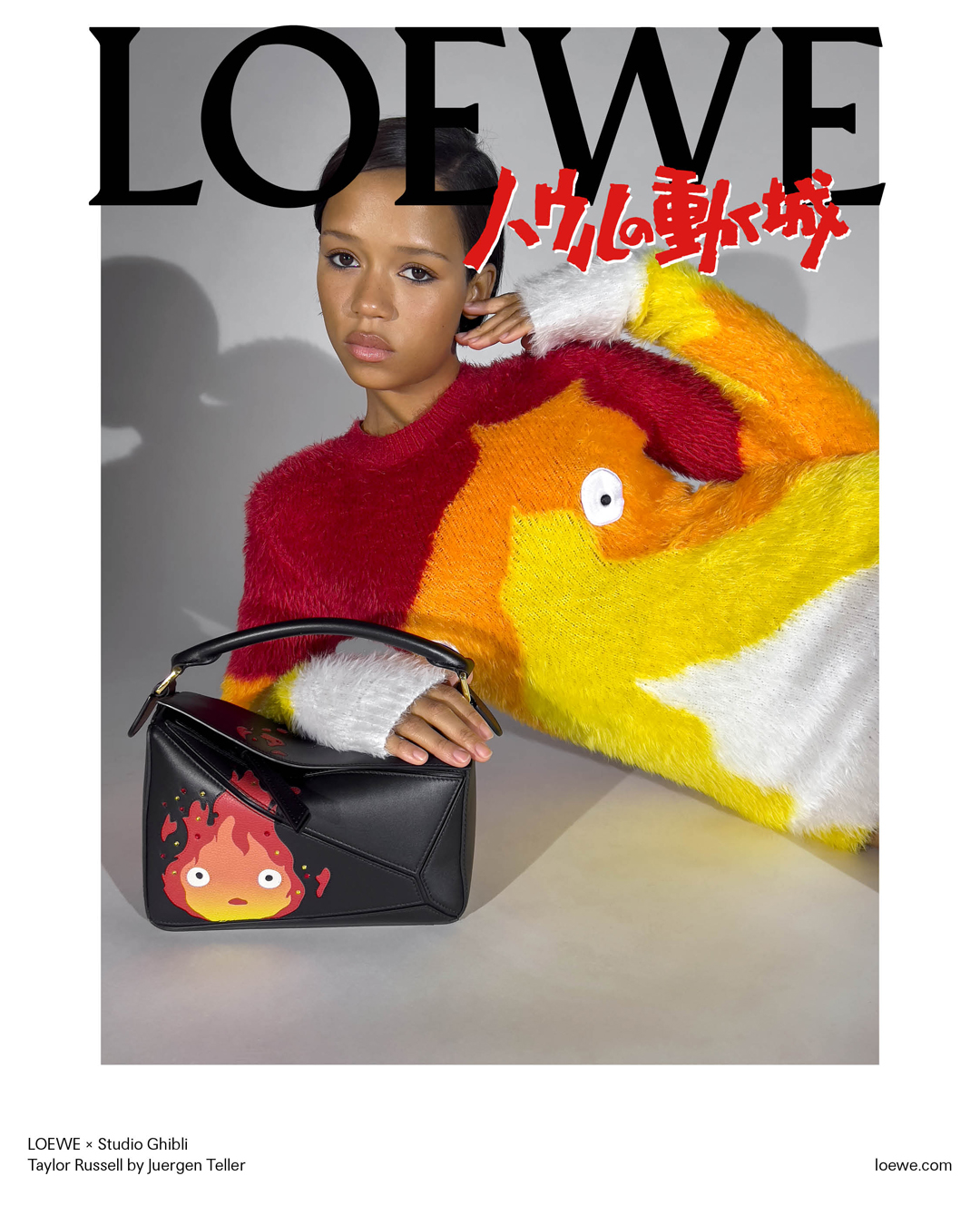 新品未使用】LOEWE ポーチ ハウルの動く城スペイン製 - ポーチ