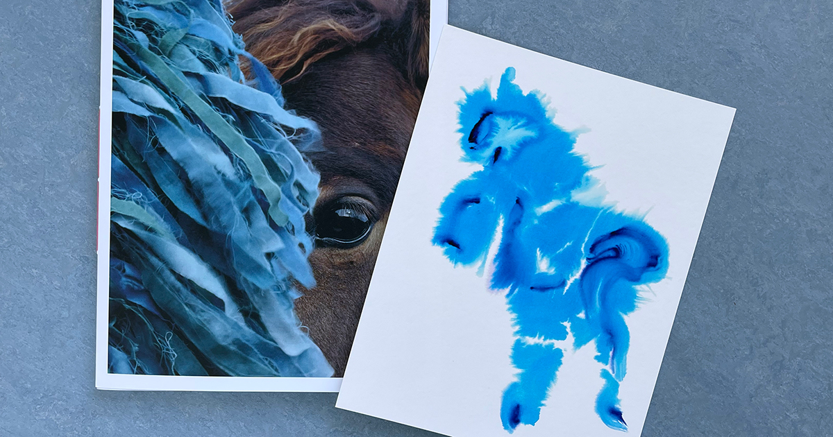 シャルロット・デュマの作品集『Charlotte Dumas / AO』のスペシャル