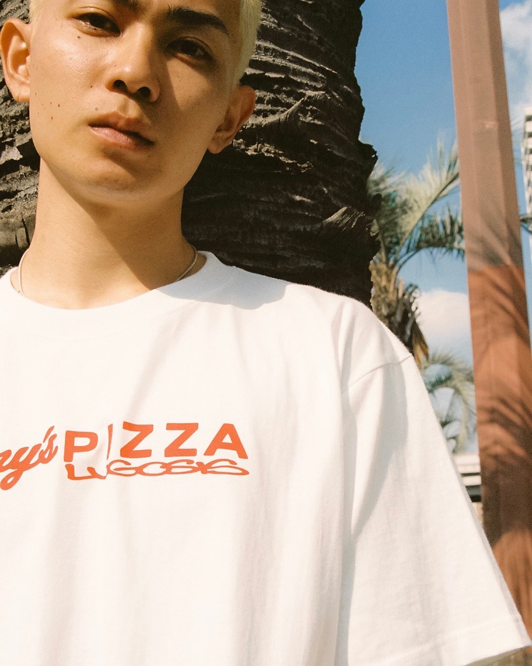 Verdy × Lugosis × Henry's PIZZA XL(箱無し) - lawfinderapp.com