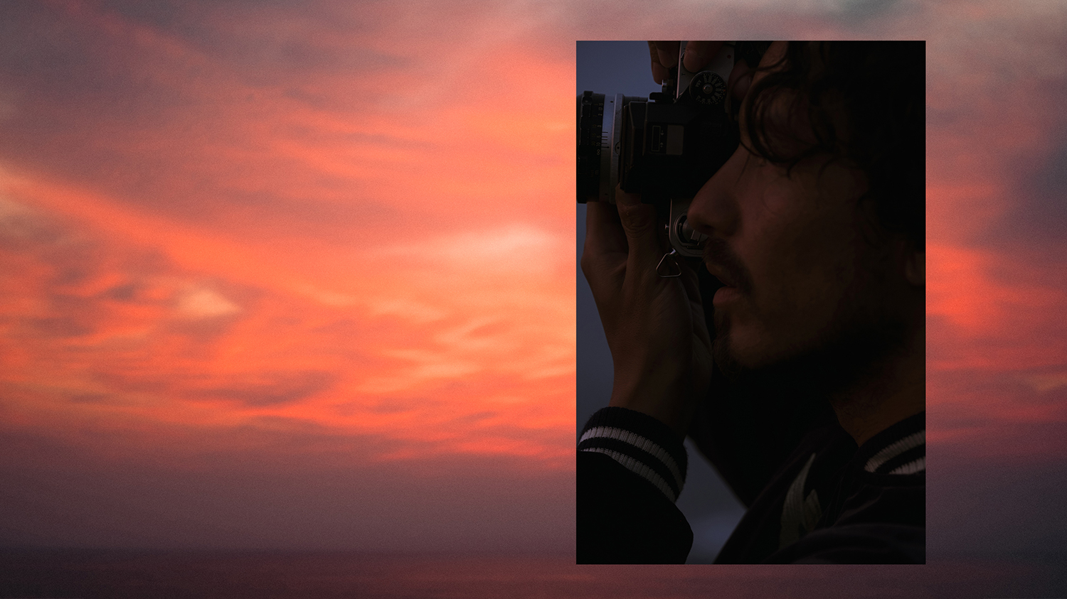 新品未使用 USA製 CALIFORNIA STORY SACRAMENTO Used 2024 Kawasaki Z125 Pro | Motorcycles in Sacramento CA