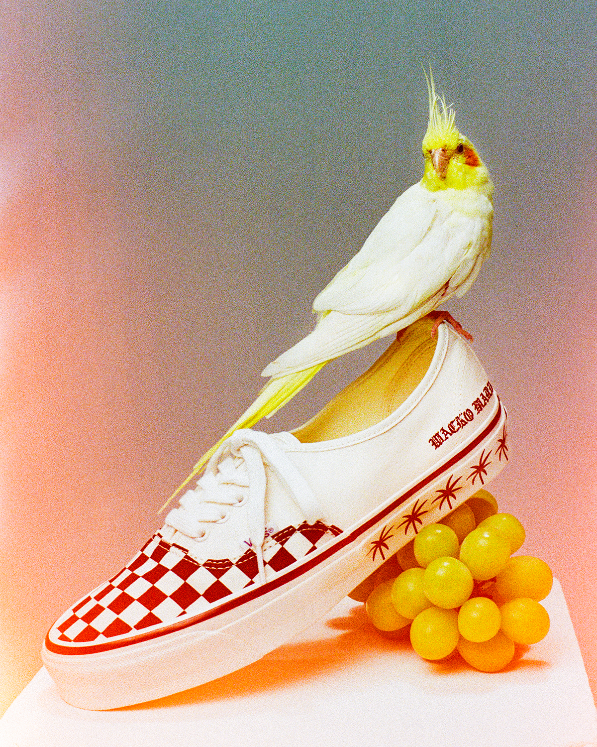 WACKOMARIA Vans Premium Authentic 白　26.5 WACKO MARIA/ワコマリア/VANS / LX AUTHENTIC 44/バンズ