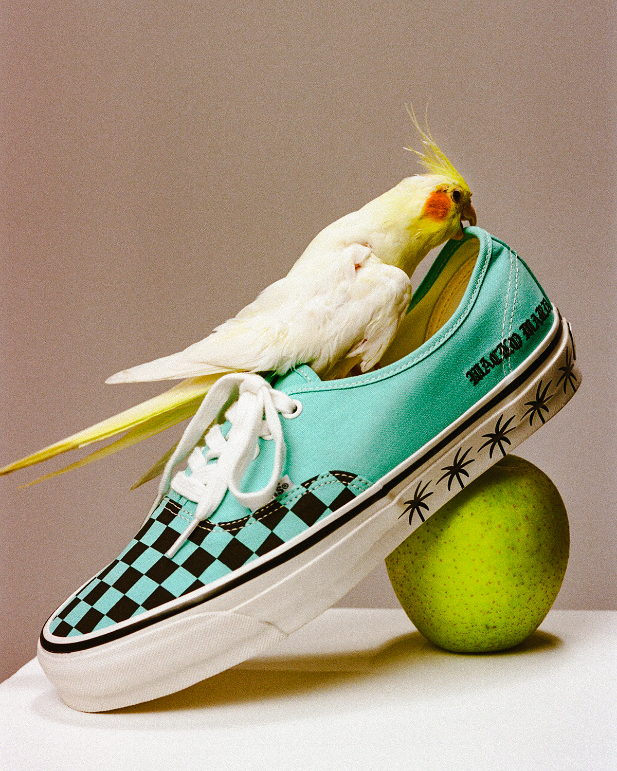 WACKO MARIA × VANSの『PREMIUM AUTHENTIC』